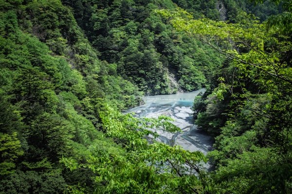 绿源环保公益短剧《地球守护者》 绿源环保公益短剧《地球守护者》 - AI漫剧客户案例展示